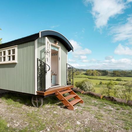 The Heron Shepherds Hut At Lyth Valley Brigsteer Extérieur photo